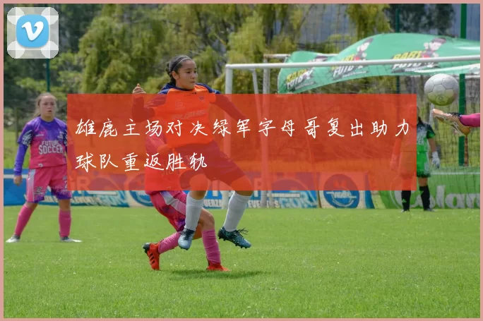 雄鹿主场对决绿军字母哥复出助力球队重返胜轨